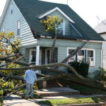 storm damage of fallen tree